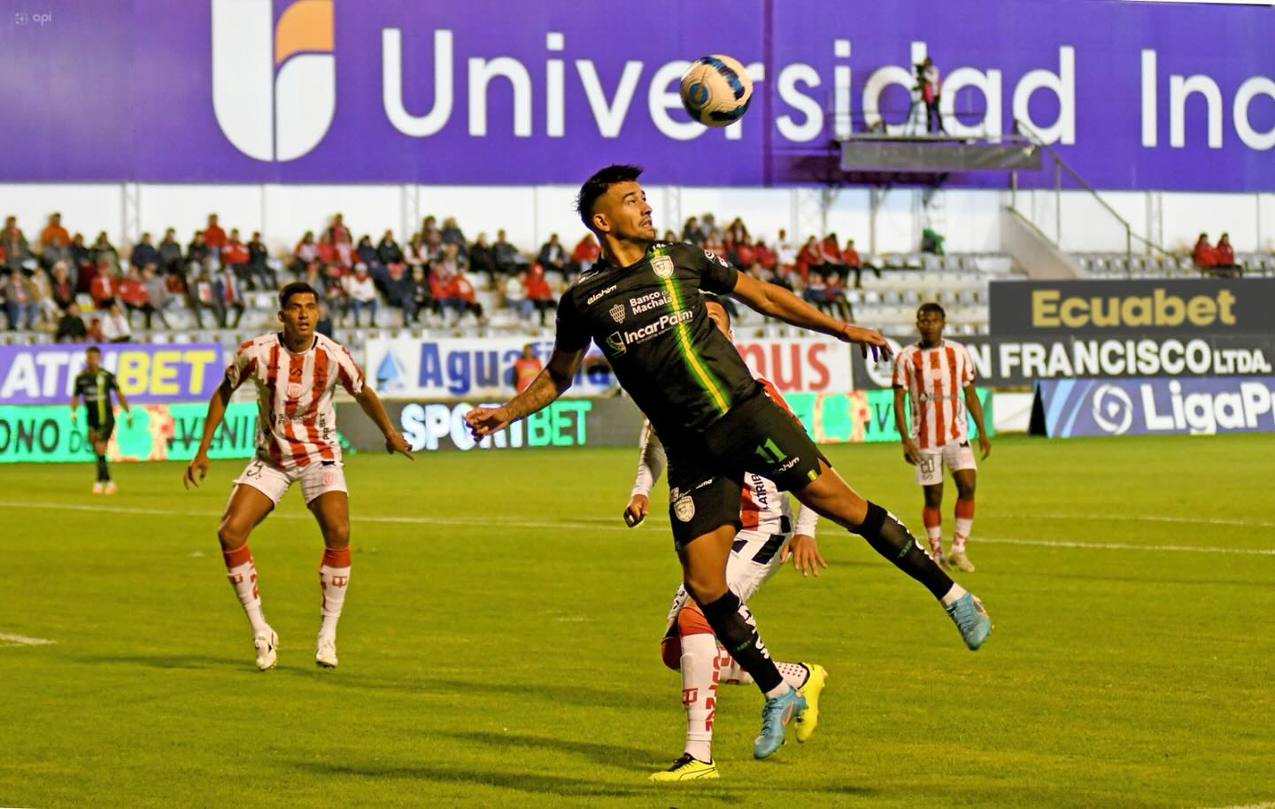 Tecnico Universitario VS Orense 13va. Fecha Liga PRO Ecuabet 2024 Apertura 5