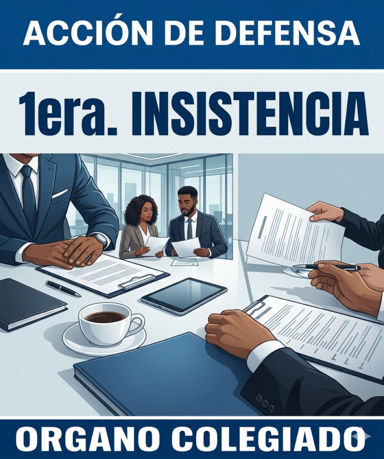 1era. INSISTENCIA