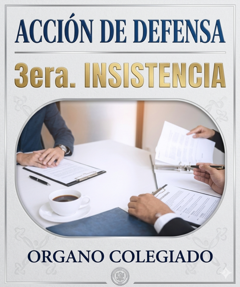 3era. INSISTENCIA