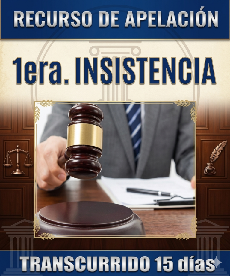 1era. INSISTENCIA