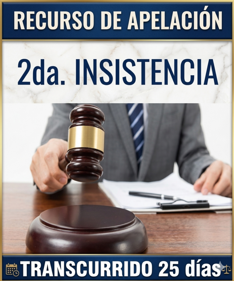 2da. INSISTENCIA