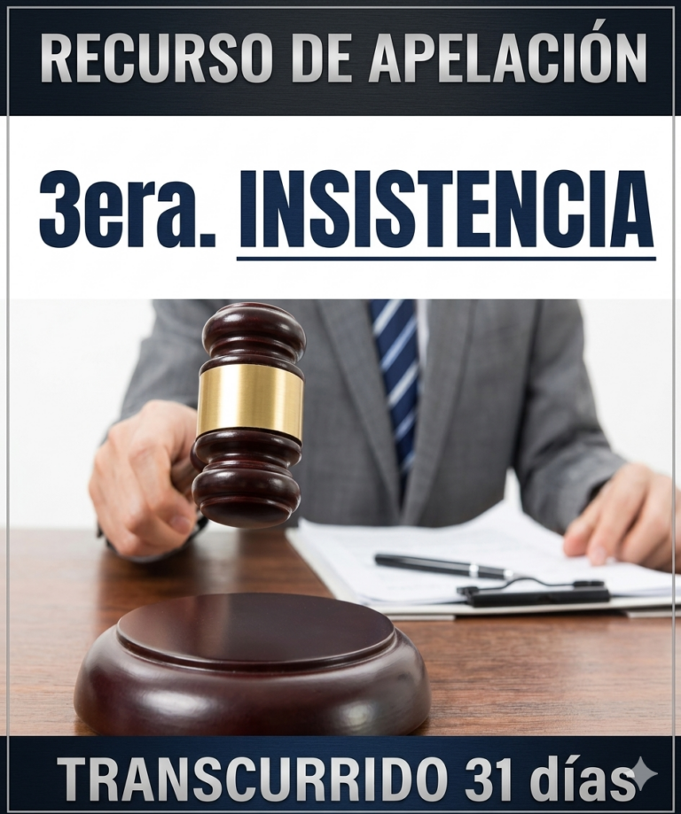 3era. INSISTENCIA
