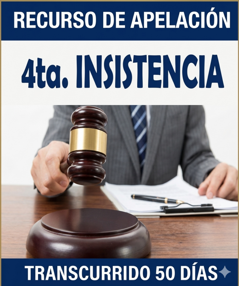 4ta. INSISTENCIA