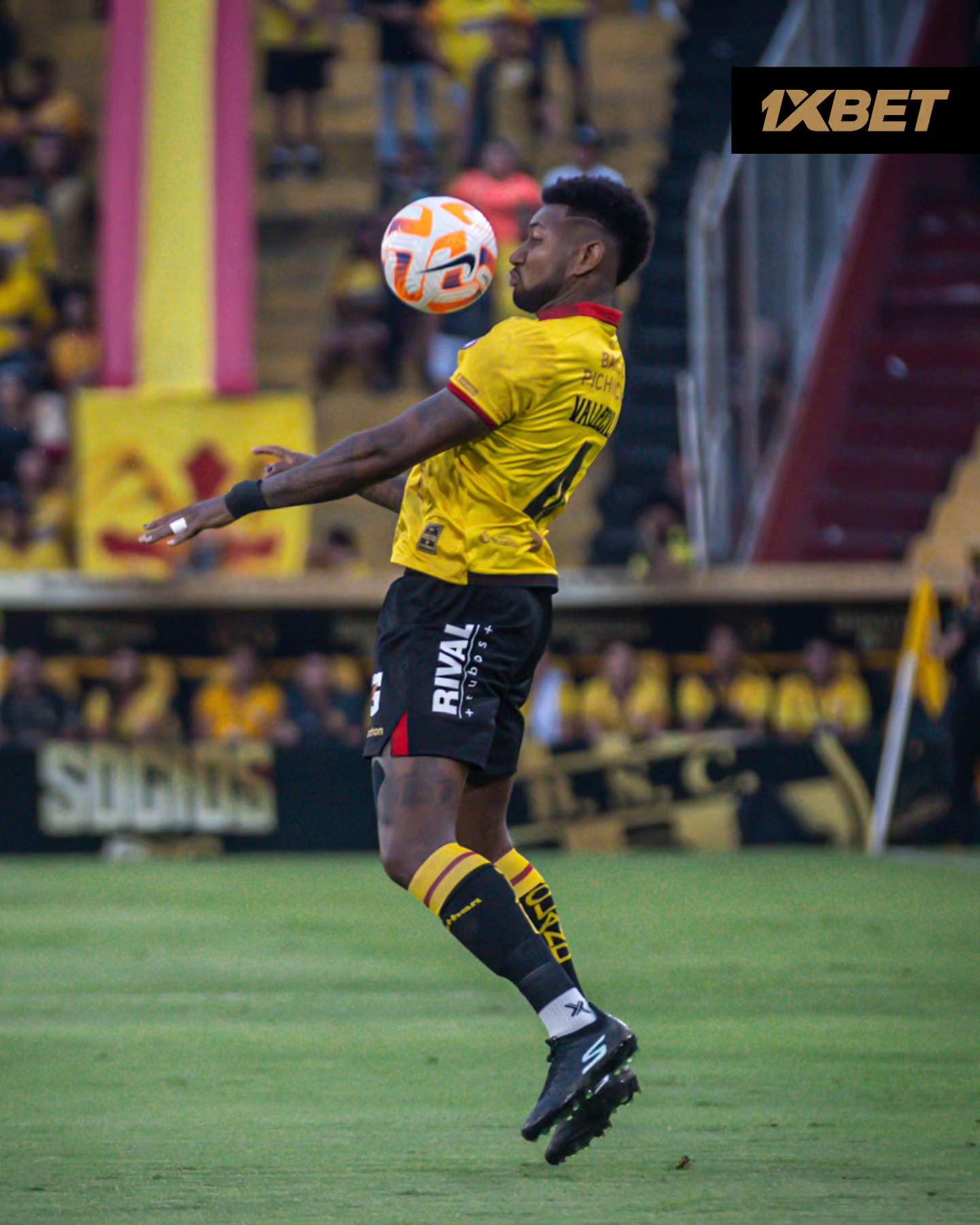 Barcelona VS Macará 25ava. Fecha Liga PRO 2025 Ecuador 3