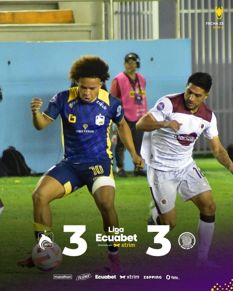 Delfín VS VinoTinto