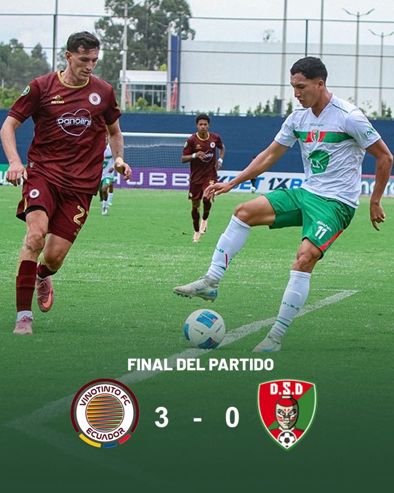 Vino Tinto VS Santo Domingo