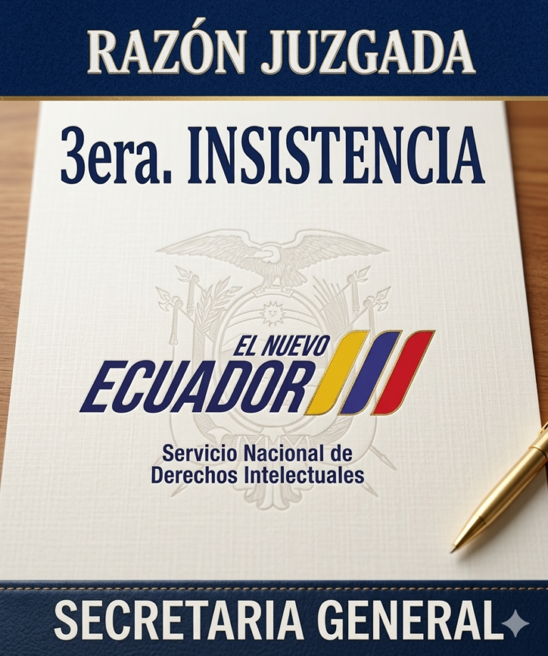 3era. INSISTENCIA