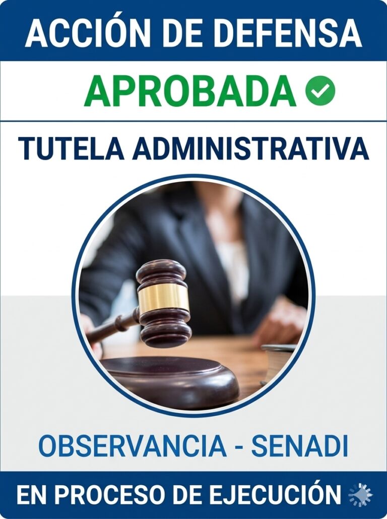 APROBADO